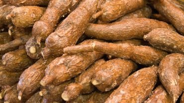 Cassava health benefits