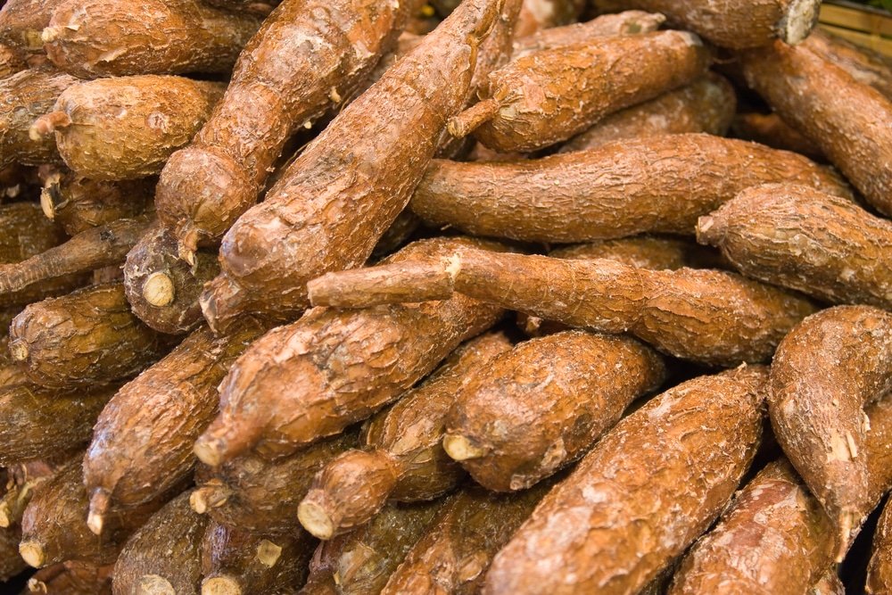 13 Surprising Health Benefits of Cassava - Natural Food Series