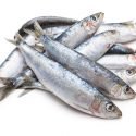11 Amazing Health Benefits of Sardines