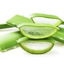 15 Surprising Health Benefits of Aloe Vera