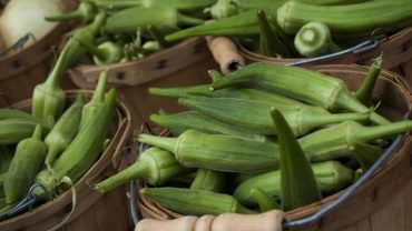 Okra health benefits