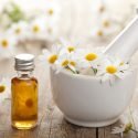 Chamomile Essential Oil