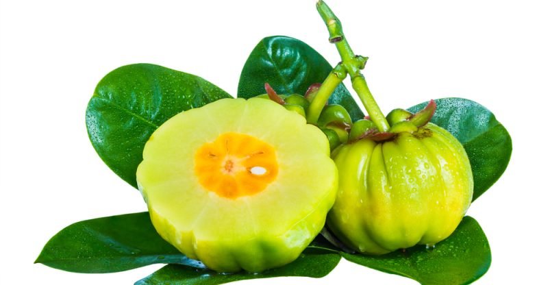 picture of garcinia cambogia fruit