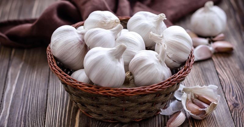 Image result for garlic