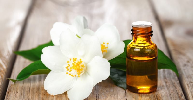 13 Surprising Benefits Of Jasmine Essential Oil Natural Food Series
