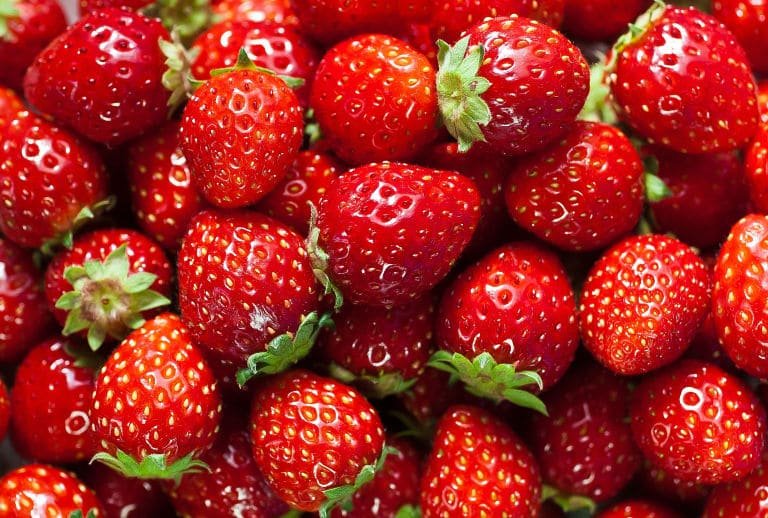 11 Manfaat Strawberry untuk Kesehatan yang Luar Biasa 3 Manfaat strawberry untuk kesehatan