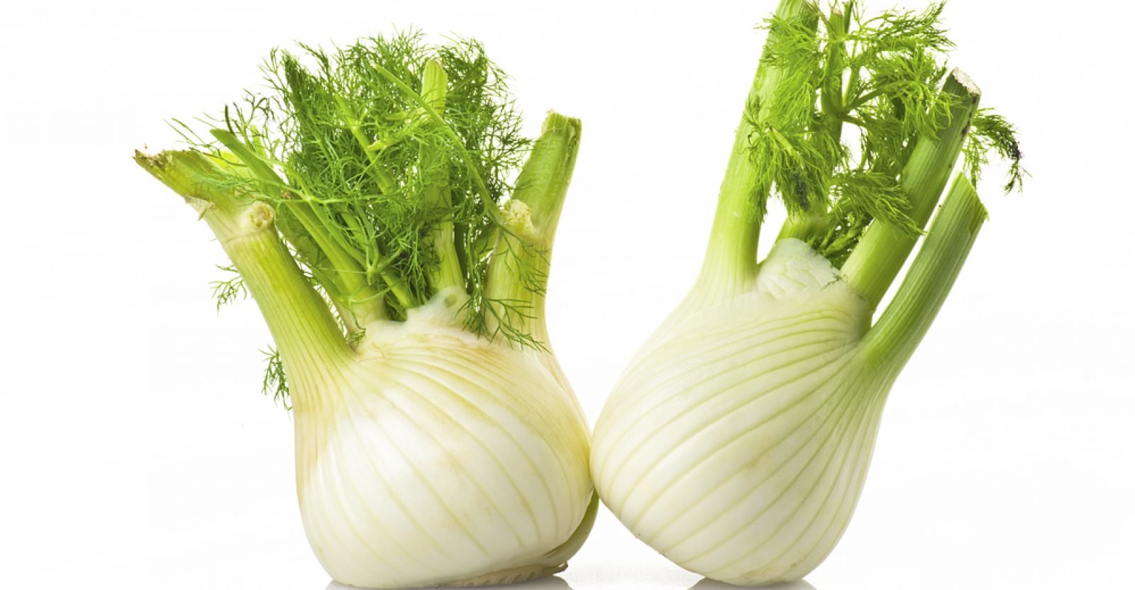 15 Amazing Benefits Of Fennel Natural Food Series