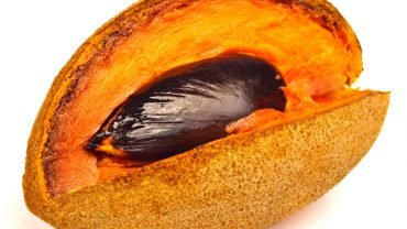11 Amazing Health Benefits of Mamey Sapote