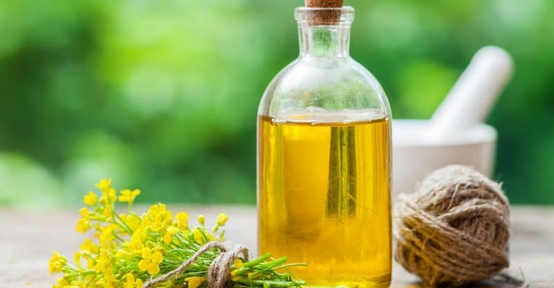9 Impressive Health Benefits of Rapeseed Oil - Natural Food Series