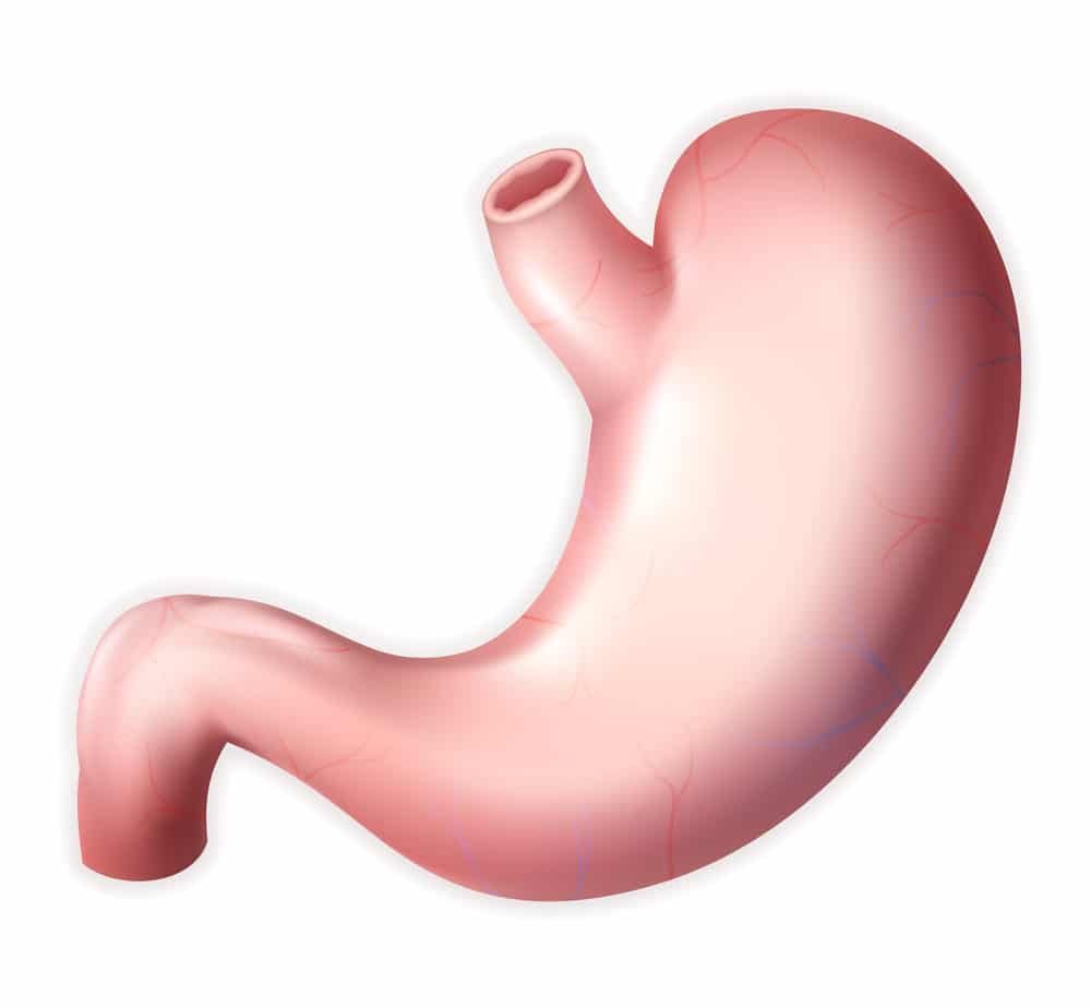 21 Best Foods For Gut Health Natural Food Series