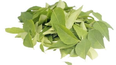 Curry Leaves