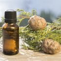 11 Amazing Benefits Of Cypress Essential Oil