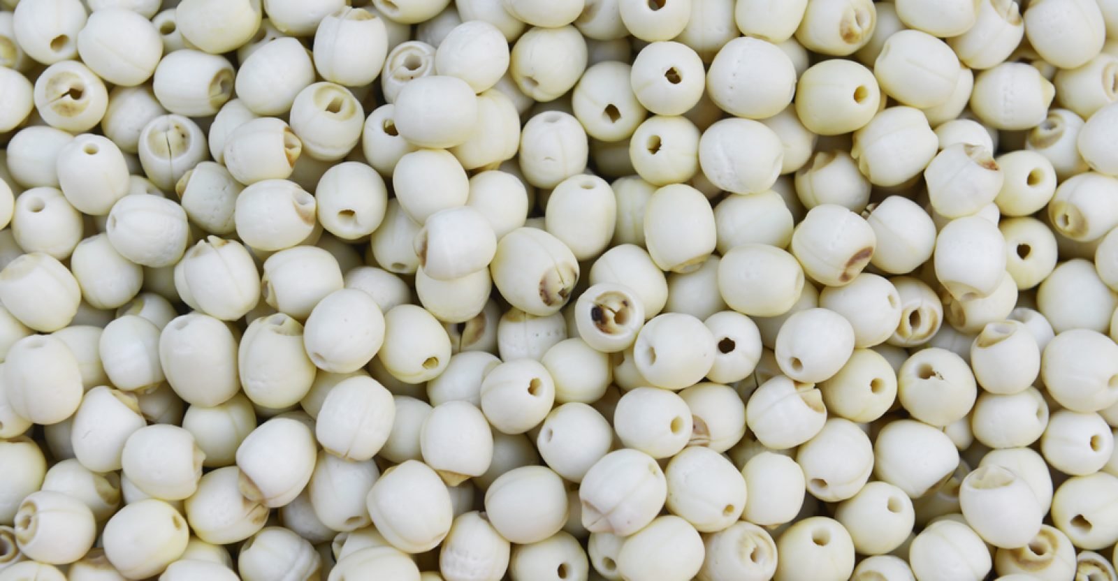 13 Amazing Health Benefits Of Lotus Seeds Natural Food Series