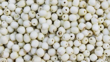 13 Amazing Health Benefits of Lotus Seeds