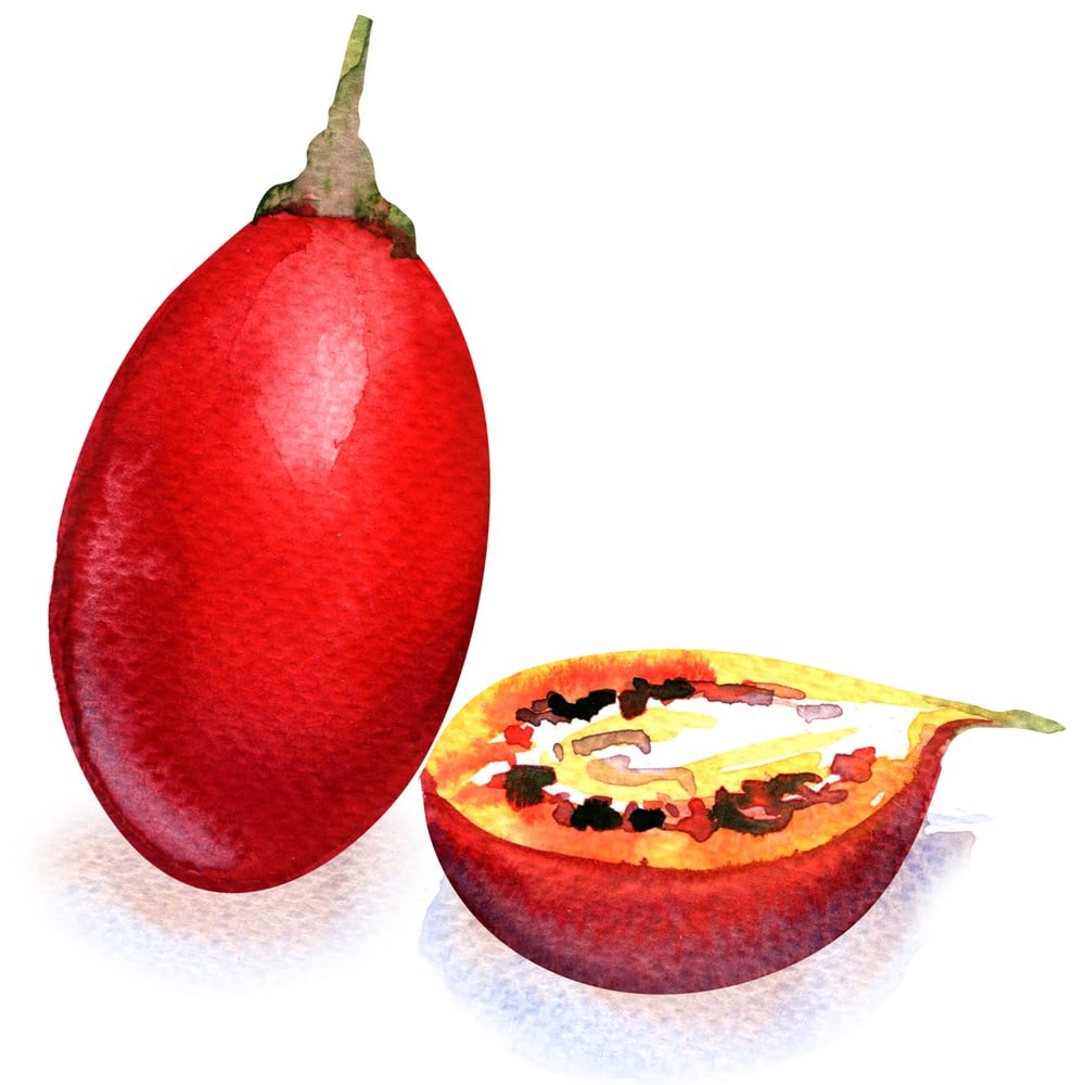 11 Amazing Health Benefits Of Tamarillo Natural Food Series