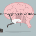 What is Neurodegenerative Disease?