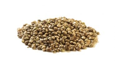11 Amazing Health Benefits of Hemp Seeds