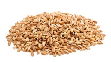 10 Amazing Health Benefits of Spelt