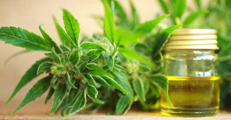Benefits And Uses Of CBD Oil