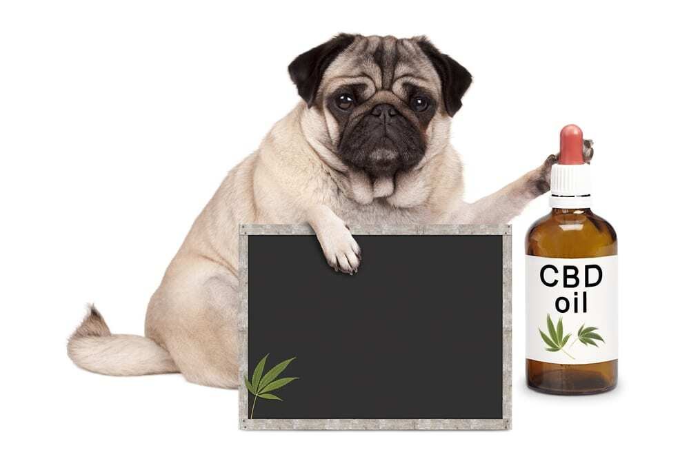 Risks Of CBD Oil