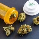 Medical Marijuana (Medical Cannabis) - All You Should Know
