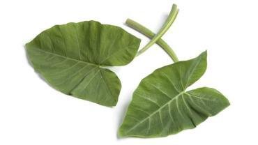 12 Amazing Health Benefits of Taro Leaves