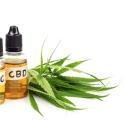 CBD Oil for Pain Management