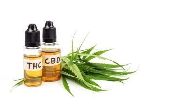 CBD Oil for Pain Management