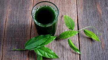 13 Amazing Benefits of Chlorophyll