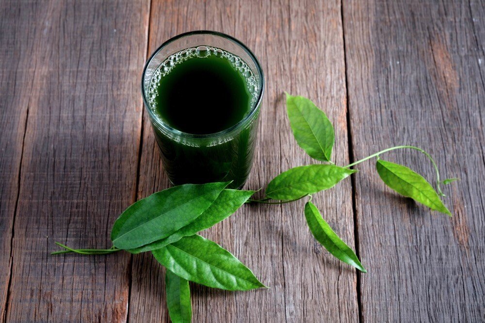 13 Amazing Benefits of Chlorophyll Natural Food Series