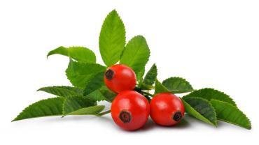 9 Amazing Benefits of Rose Hips
