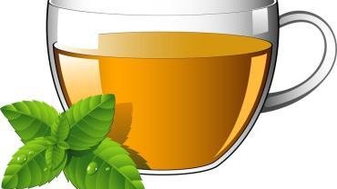 11 Amazing Benefits Of Spearmint Tea